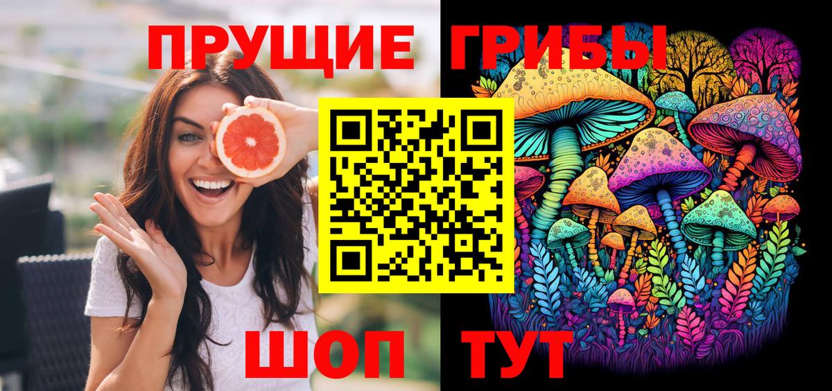 Галлюциногенные грибы Psilocybine cubensis Коломна